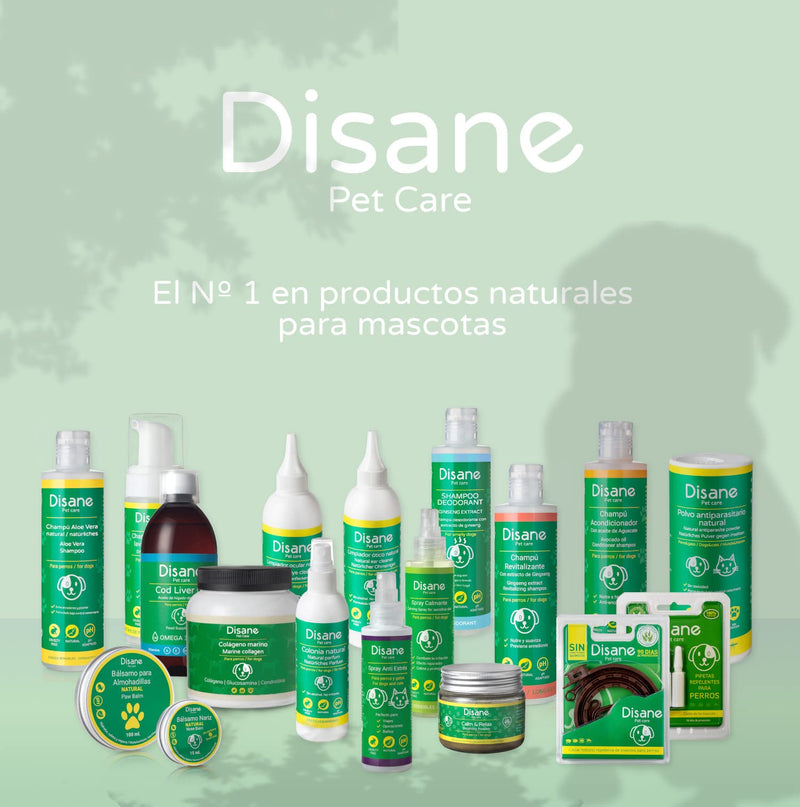 DISANE Natural Flea Spray for Dogs | 250ml | Repels fleas, ticks, mites, lice and mosquitoes (Leishmania) | Natural Insect Repellent for Dogs and Puppies | Ideal for spraying before walking - PawsPlanet Australia