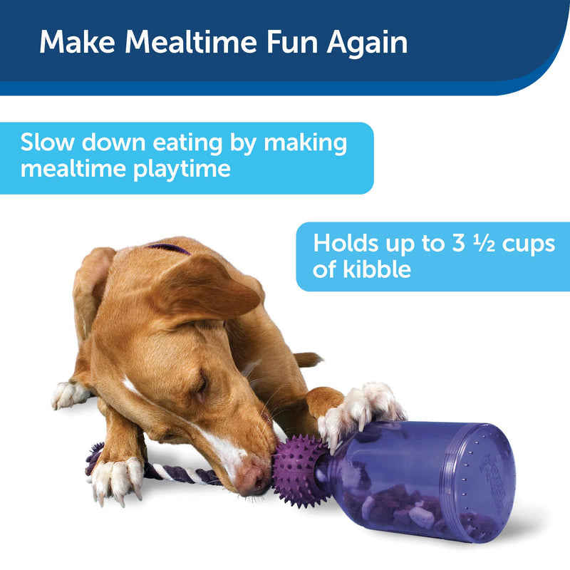 [Australia] - PetSafe Busy Buddy Tug-A-Jug Meal-Dispensing Dog Toy Medium/Large 