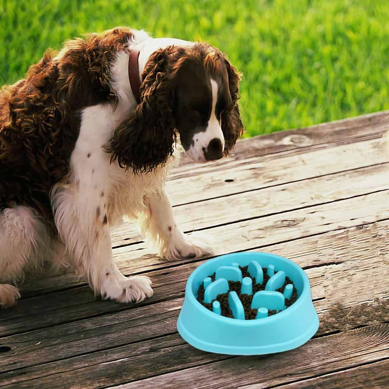 Decyam Slow Feeder Dog Bowl Slow Eating Dog Bowl Pet Puppy Fun Puzzle Feeder Non Skid Bloat Stop Feeding Bowl blue 1 - PawsPlanet Australia