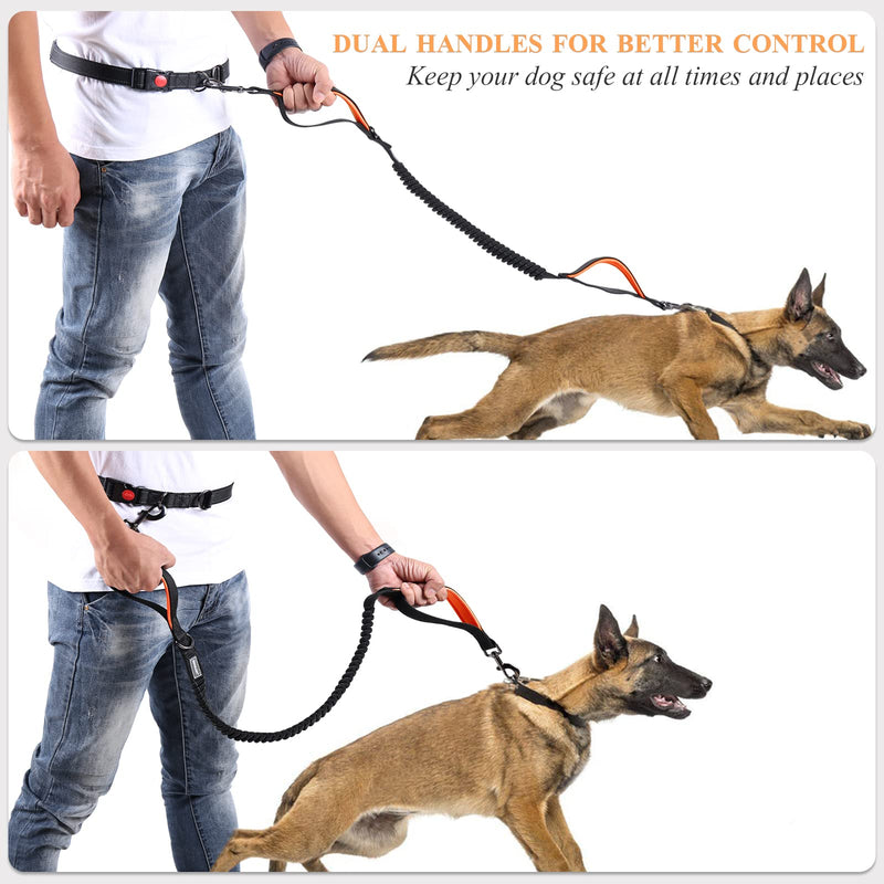 VIVAGLORY Hands Free Dog Leash with Durable Padded Dual-Handle Bungee Leash for Medium and Large Dogs, Reflective Waist Leash for Training Running Walking Jogging Fits waist 25½"~44" Black/Orange - PawsPlanet Australia