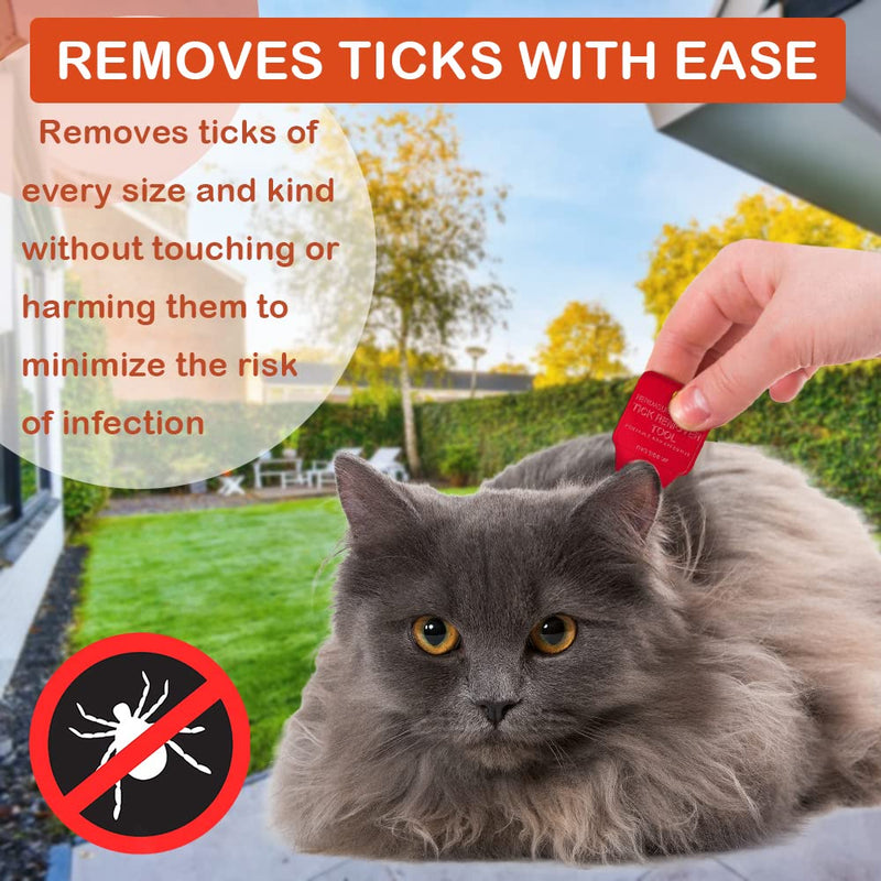 Rendasun Tick Remover Tool, Quick and Safe, and Reliable Suitable for Pets, Animals, and Humans, Essential Tick Remover Tool for Portable Outdoor Living (3 Pack Orange Red Blue) - PawsPlanet Australia
