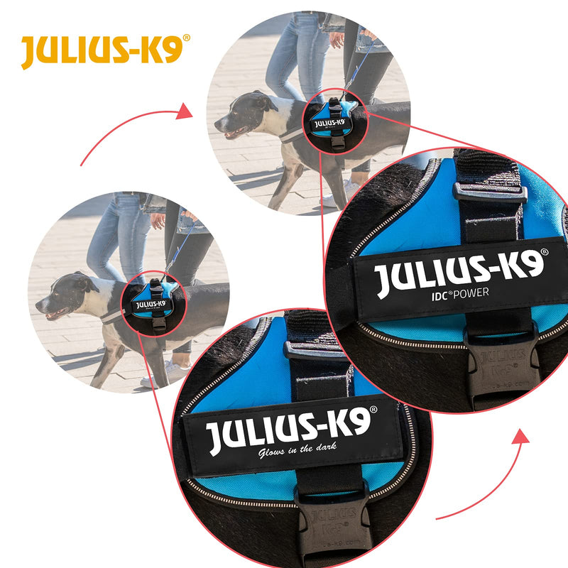 Julius-K9, 162DPN-BB2, K9-Powerharness, dog harness, Size: Baby 2, Dark Pink - PawsPlanet Australia