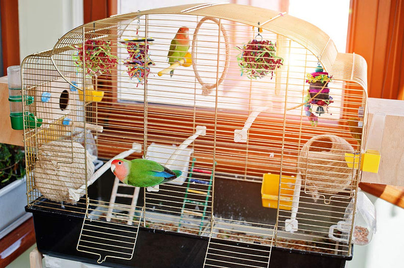 YUEPET 4 Pack Bird Shredder Toys Small Parrot Chewing Toys Parrot Cage Foraging Hanging Toy for Small Bird Parakeets Parrotlets Lovebirds Cockatiels - PawsPlanet Australia