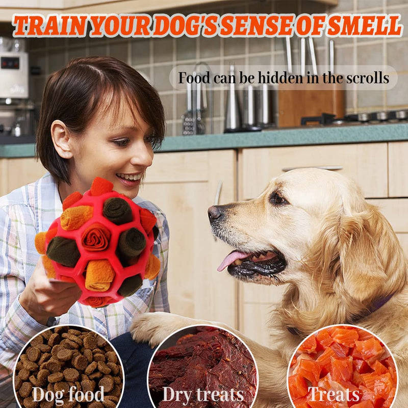 Waldspring Sniffing Ball for Dogs, Sniffing Ball, Dog Toy Sniffing Ball for Small Dogs Medium Dogs (Orange) Orange - PawsPlanet Australia