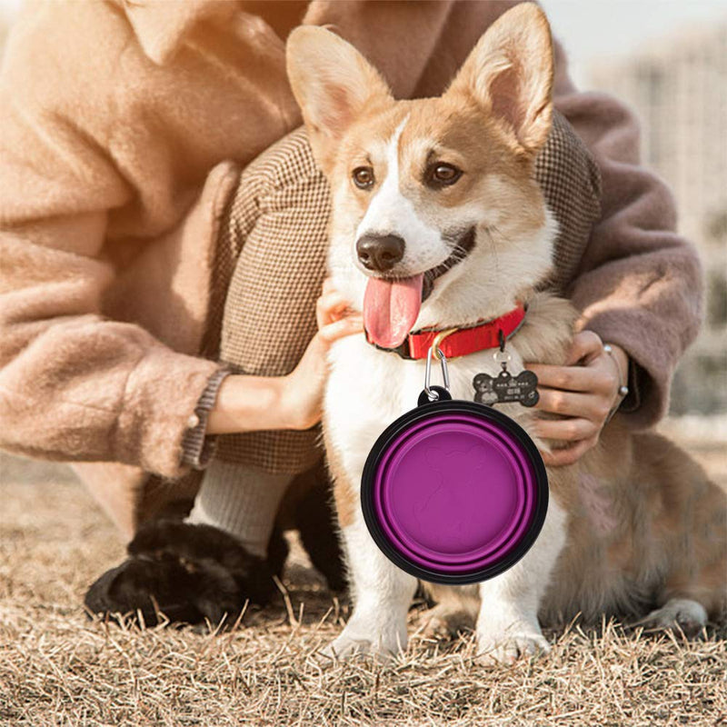 Large Collapsible Dog Bowls, 34oz Travel Water Food Bowls Portable Foldable Collapse Dishes with Carabiner Clip for Traveling, Hiking, Walking, 2 Pack Large,34oz 34oz-Blue&Purple - PawsPlanet Australia