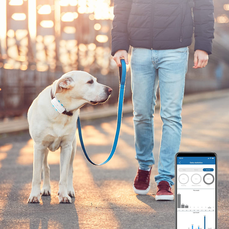 Winnes GPS Tracker for Dogs, Anti-Lost, Real-Time Tracking APP/Web Platform No SUBSCRIPTION with Sound/Light Alarm for Finding Pets 2G TK911 PRO - PawsPlanet Australia