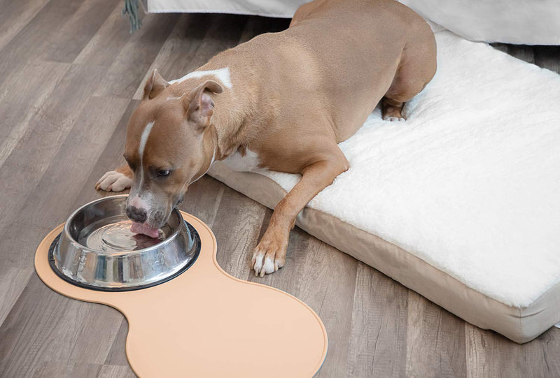 [Australia] - Dog Food Mat - Pet Feeding Mats for Floors - Waterproof Silicone Placemat for Water Bowl, Dish and Tray Small Beige 