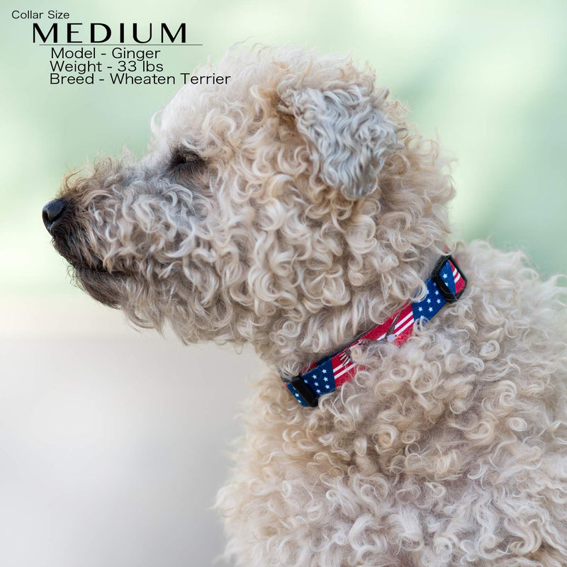 American Flag Dog Collar in 5 Different Sizes Bald Eagle Small - PawsPlanet Australia