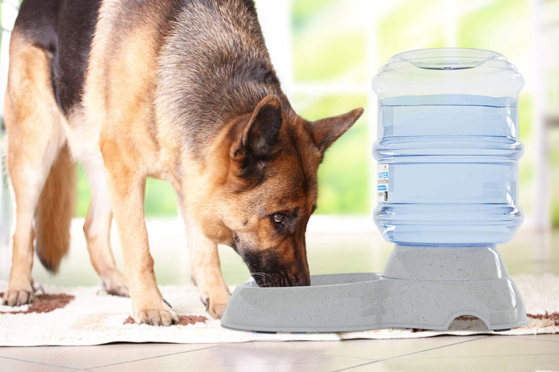 [Australia] - Noa Store Automatic Replenish Pet Waterer Dispenser Station for Dogs, Cats or Small Pets - 1 Gallon 