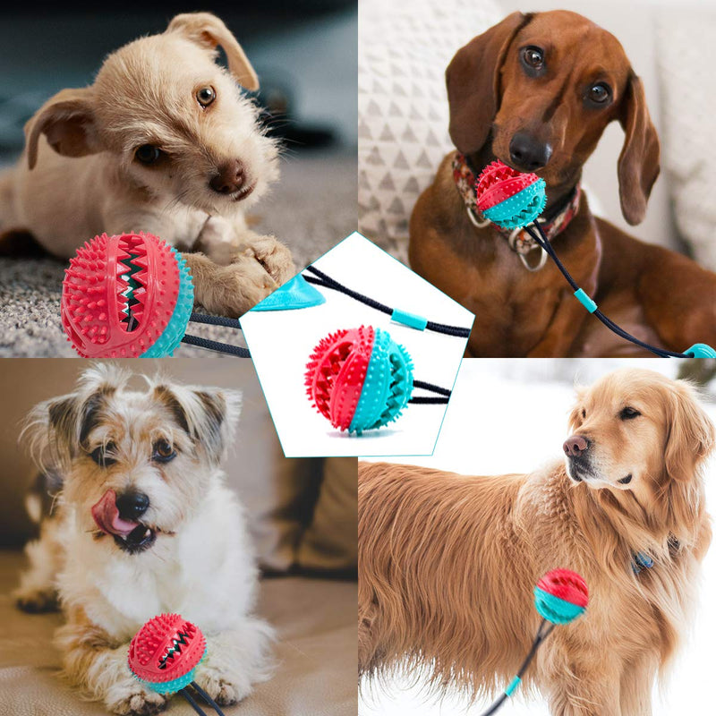 Happy Fox Dog Toys, Bite-Resistant Anti-Wear Balls, Food Spill Toys, Dog Tug-Of-War Rope Ball Sucker Toys, Used For Interactive Puppies Molar Training Rope (Color Box) - PawsPlanet Australia