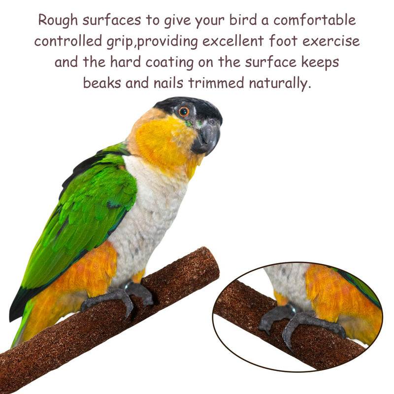 6 Pcs Bird Perch Stand Toy, Wood Parrot Stand Platform Colorful Sand Paw Grinding Stick Cage Accessories Exercise Toys for Cockatiel Conure Budgies Parakeet Lovebird Hamster Gerbil Rat Mouse 6 Pcs - PawsPlanet Australia