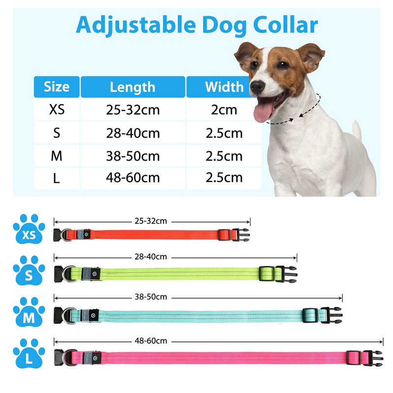 Dog Collar Luminous Collar Waterproof Light Up LED Dog Collar USB Rechargeable Flashing Reflective Dog Collars Adjustable Super Bright for Large Medium Small Dogs, Blue-M M (38-50cm, 2.5cm) - PawsPlanet Australia