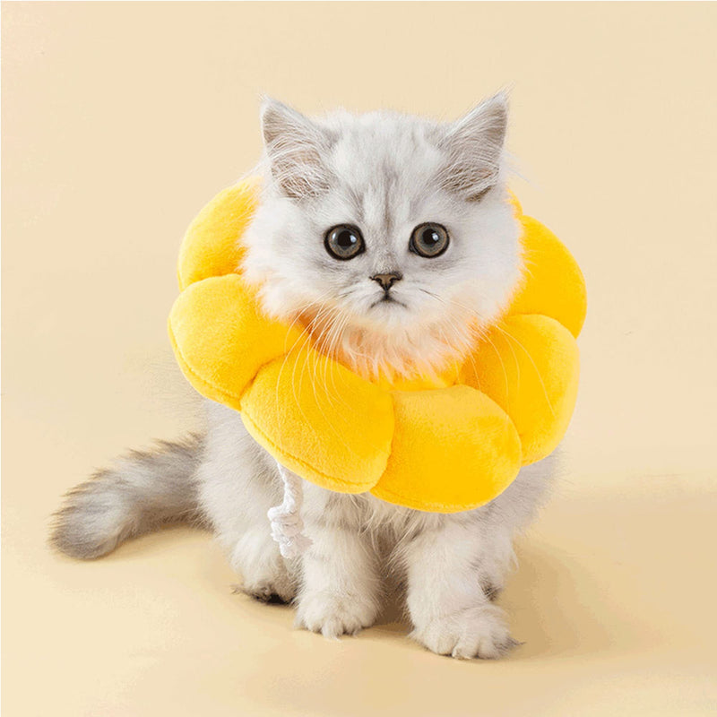 XSQD Neck Collar Cat Collar Soft Cat Protective Collar Anti Bite Safety Adjustable Protective Collar, Recovery After Surgery or Wound, Pets Small Dogs Kittens (M) Yellow M - PawsPlanet Australia