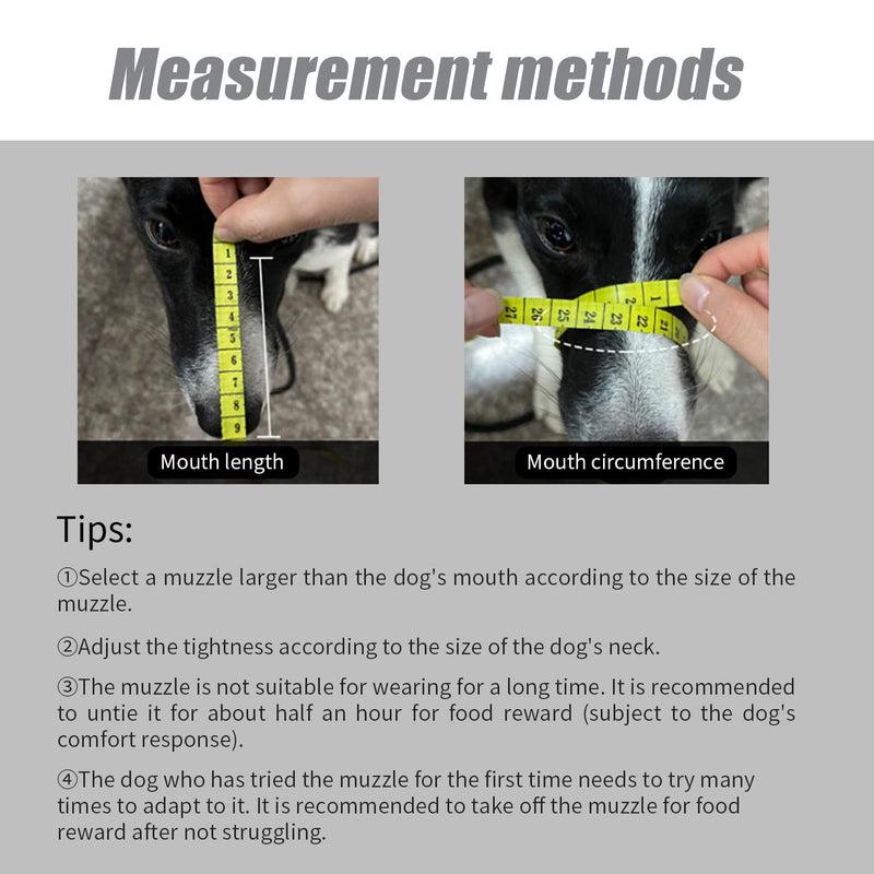 Muzzle for dogs, silicone basket, dog muzzles, soft silicone basket muzzle for small, medium and large dogs, prevents barking, biting and chewing (number 3) number 3 - PawsPlanet Australia