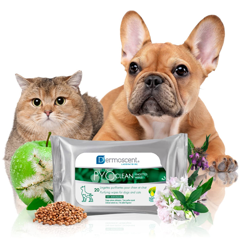 Dermoscent PYOclean Wipes for dogs and cats - 20 pieces - PawsPlanet Australia