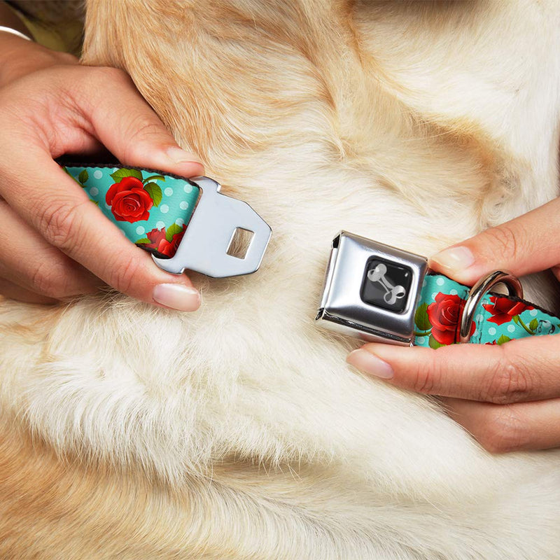 [Australia] - Dog Collar Seatbelt Buckle Red Roses Polka Dots Turquoise 9 to 15 Inches 1.0 Inch Wide 1" Wide - Fits 11-17" Neck - Medium 