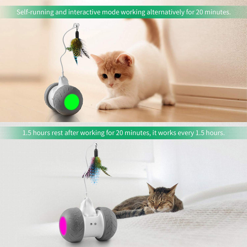 Robotic Cat Toy Interactive, Automate Kitten Toy Ball USB Rechargeable 2000mAh Large Capacity Battery Working 7-14 Days, Auto 360 Degree Rotating Attached with Feathers, All Floors & Carpet Available - PawsPlanet Australia