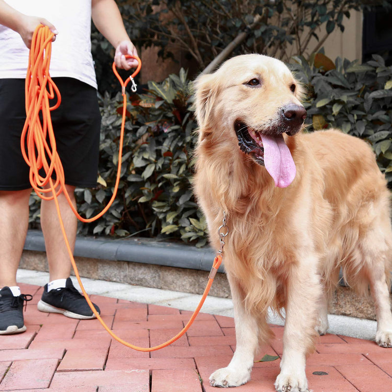 [Australia] - Hi Kiss Check Cord Large,Medium Small Dogs/Puppy Obedience Recall Training Agility Lead - 15ft 30ft 50ft Training Leash - Great for Training, Play, Camping, or Backyard Black 15 Feet 