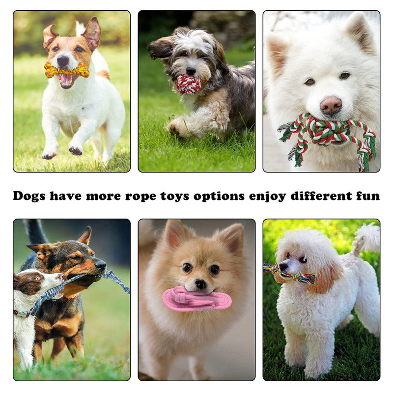 Dog Rope Toy, Durable Dog Toys for Aggressive Chewers, 9 Pack Puppy Teething Tough Dog Chew Toys, Indestructible Dog Toys for Small-Medium Dogs Interactive to Prevent Pet Boredom - PawsPlanet Australia