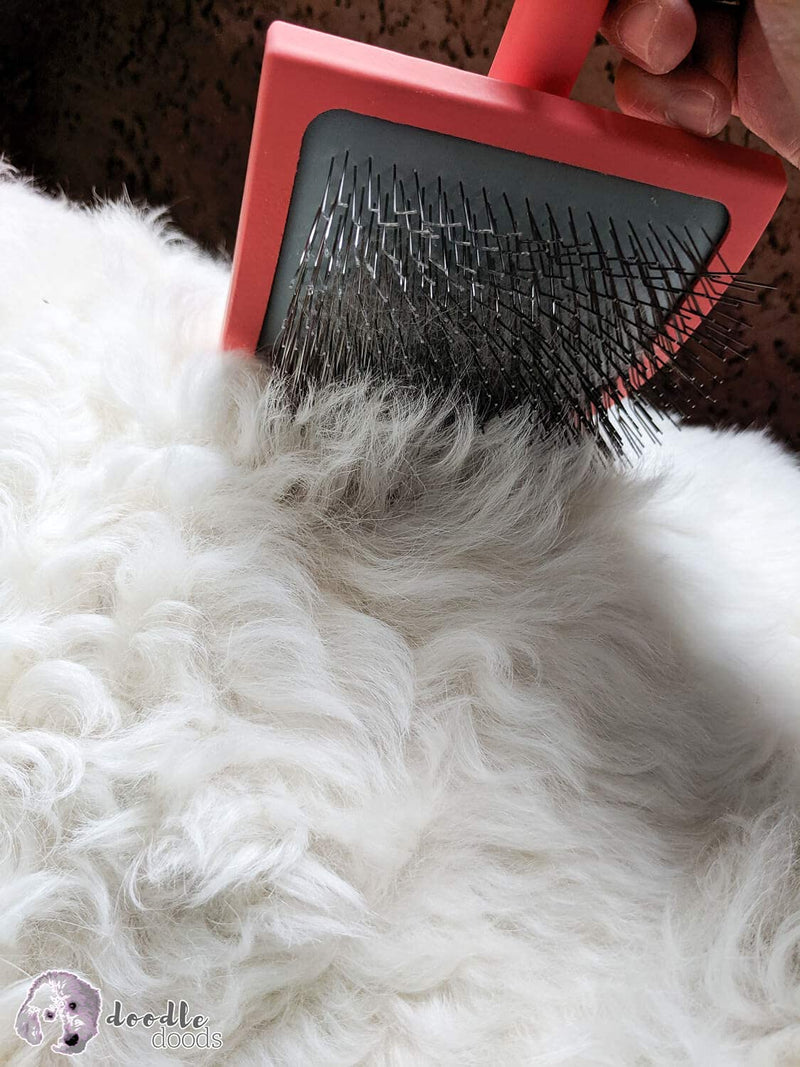 Chris Christensen Big K Dog Slicker Brush, Groom Like a Professional, Fluff Detangle Style, Saves Time Energy, Black, Large L - PawsPlanet Australia