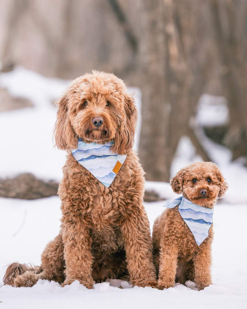 Remy+Roo Dog Bandanas - 4 Pack | Ryan Set | Premium Durable Fabric | Unique Shape | Adjustable Fit | Multiple Sizes Offered X-Large - PawsPlanet Australia