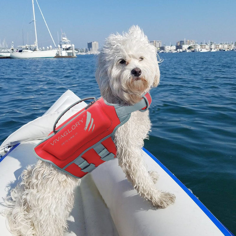 Vivaglory Dog Life Jackets, Premium Skin-Friendly Neoprene Dog Life Vest with Superior Buoyancy and Rescue Handle 19-22 inch (Ribcage Girth) Red - PawsPlanet Australia