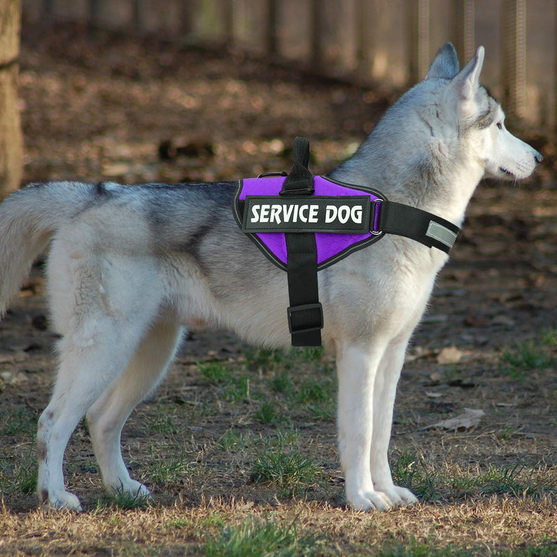 MUMUPET Service Dog Harness, No Pull Easy On and Off Pet Vest Harness, 3M Reflective Breathable & Easy Adjust Pet Halters with Nylon Handle - No More Tugging or Choking for Small Medium Large Dogs XS: Chest 13-18" (33-46cm) Purple - PawsPlanet Australia