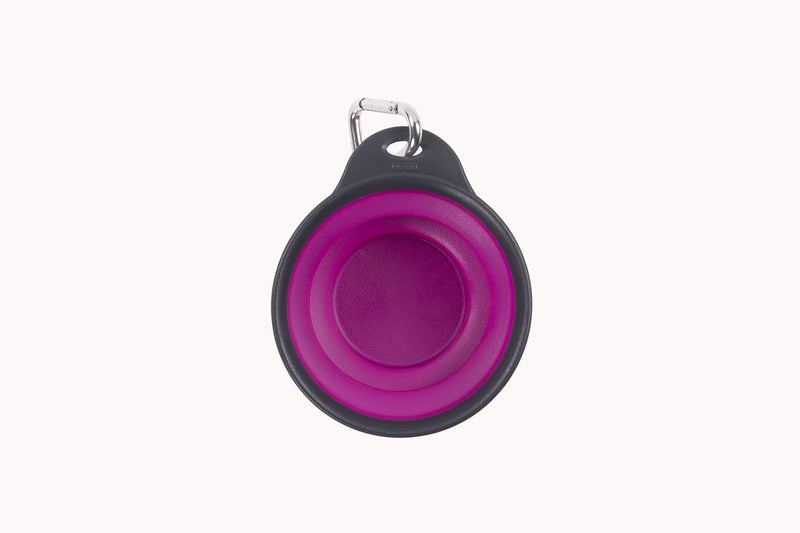 [Australia] - Dexas Pets Collapsible Travel Cup 1 Cup Capacity Fuschia 