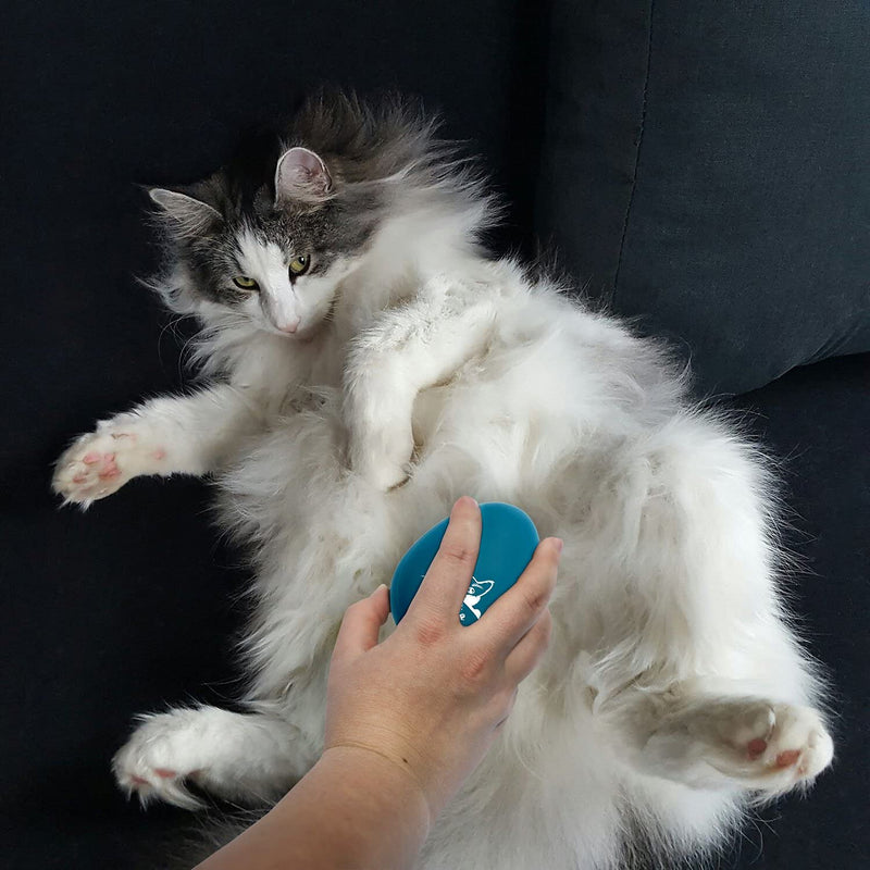 Massage brush for cats and dogs with long-haired or short-haired fur for relaxation, detangling and shine, fur change, summer fur curry comb pet brush - PawsPlanet Australia
