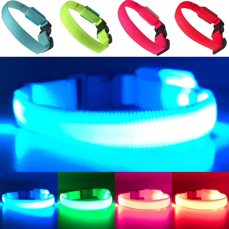 EXPERSOL LED Dog Collar Super Bright Battery Operated Increased Visibility and Safety 4 Colours (Blue Large) - PawsPlanet Australia