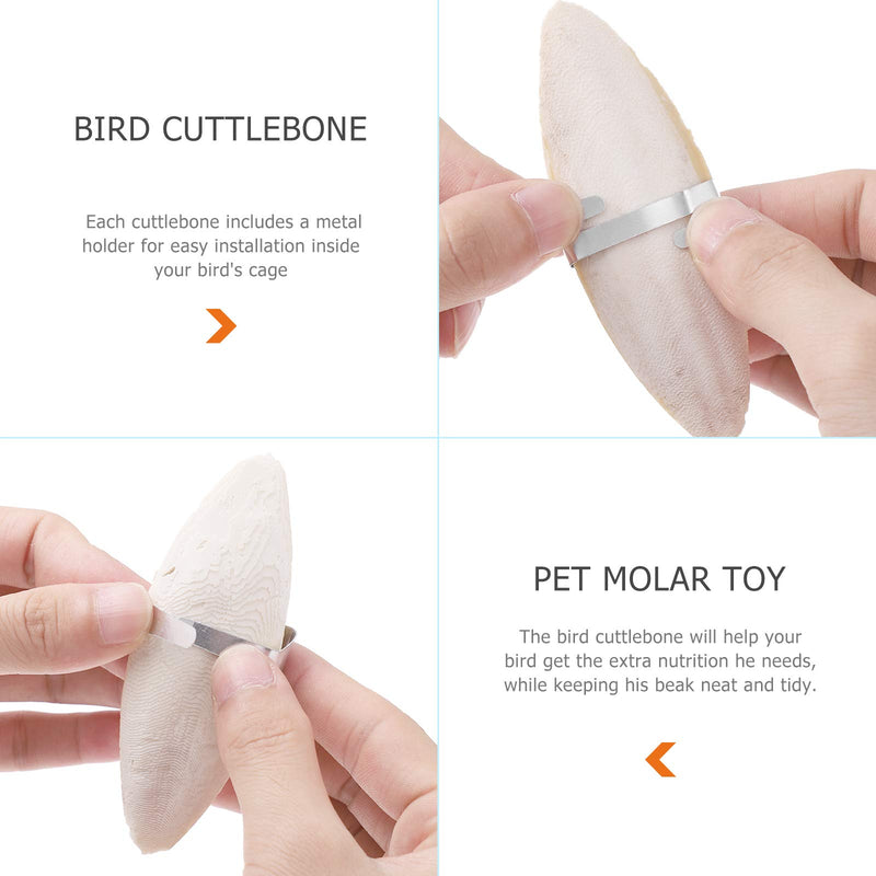 POPETPOP Parrot Cuttlebone Toys - 6 pcs Cuttlefish Bone Bird Chewing Toys for Cockatiels,Parakeets,Budgies,Finches,Canaries and Lovebirds - PawsPlanet Australia