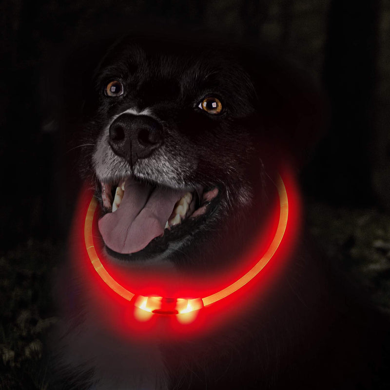 Premium Paws LED Dog Collar Light Up - USB Rechargeable - Ultra Bright - Multiple Modes Including Flashing & Constant - Light Up Dog Collars (Rose Red) Rose Red - PawsPlanet Australia