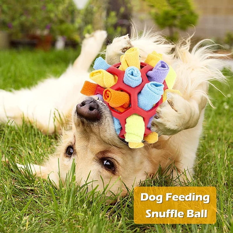 Jiahuade Sniffing Ball for Dogs, Sniffing Toy for Dogs, Sniffing Carpet Intelligence Toy, Washable Interactive Dog Toy Ball 20 cm for Food Search Instinct Training (B) B - PawsPlanet Australia