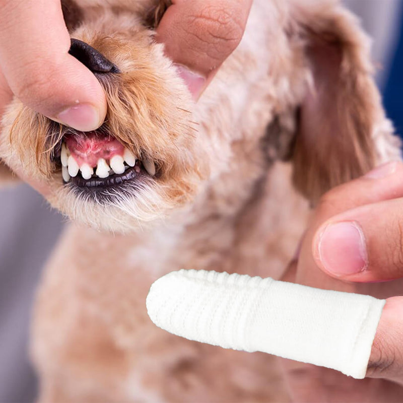Dog Toothbrush Fingerling, Pack of 10 Pets Teeth Cleaning Toothbrush for Dogs Cats Dental Care, Pet Finger Toothbrush Reusable, Fingerling Dogs Dental Care Silicone Finger Toothbrush Set - PawsPlanet Australia