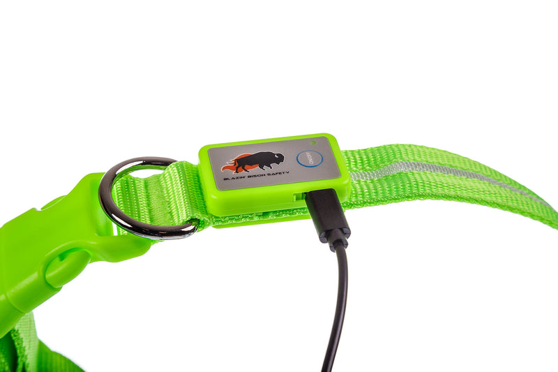 [Australia] - Blazin' Safety LED Dog Collar – USB Rechargeable with Water Resistant Flashing Light Medium Green 