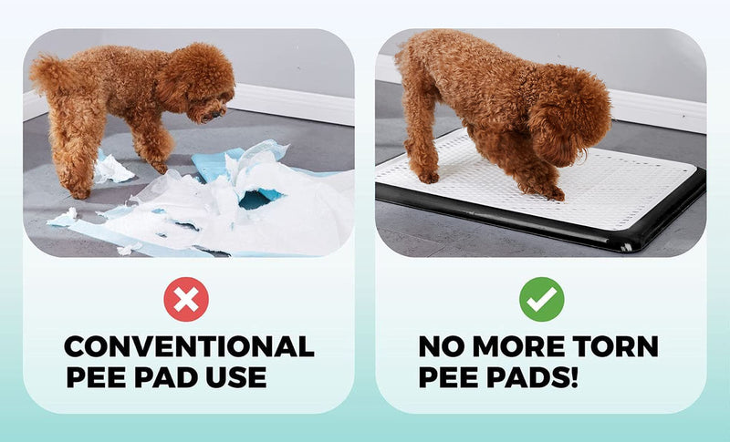 Pet Awesome Dog Potty Tray / Puppy Pee Pad Holder 25”x20” Indoor Wee Training for Small and Medium Dogs Black - PawsPlanet Australia