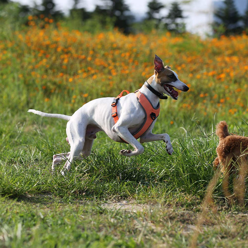Tineer Adjustable Night Reflective Harness Outdoor Walking Training Vest Harness Medium Large Dogs (L, Orange) L - PawsPlanet Australia
