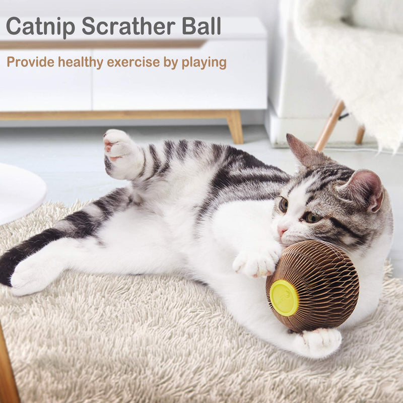 [Australia] - ARELLA Catnip Ball Toy for Cats Catnip Refillable Scratcher Ball Kitty's Faithful Playmate Reduce Obesity and Loneliness CSB01BR 