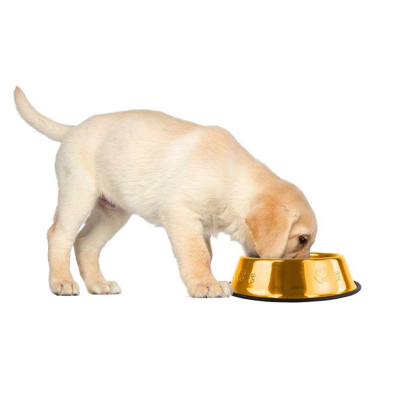 Platinum Pets Embossed Non-Tip Stainless Steel Cat/Dog Bowl X-Small 24K Gold - PawsPlanet Australia