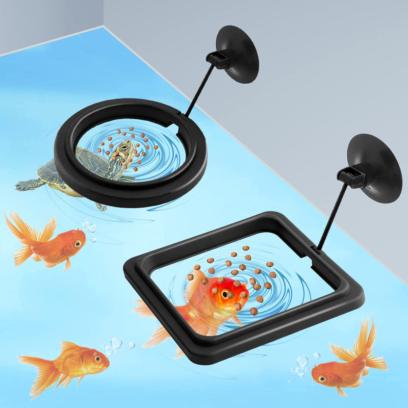 Molain Fish Feeding Ring, 2 Pieces Fish Feeder Aquarium Fish Turtle Tank Accessories Food Feeder Circle For Guppy, Bettas, goldfish, Turtle (Black) Black - PawsPlanet Australia