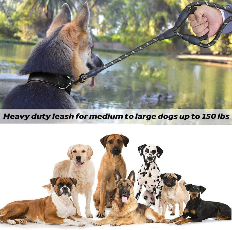 6FT Dog Lead, Reflective Dog Lead with Comfortable Foam Handle for All Size Dogs (Black) Black 1.8m 6ft - PawsPlanet Australia