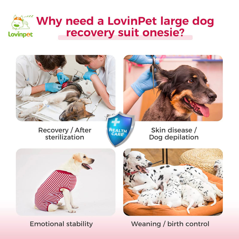 LovinPet Recovery Shirt - Full Coverage Dog's Bodysuit Wound Protective Surgical,E-Collar Alternative Recovery Snugly Suit for Abdominal Wounds After Surgery Anti-Licking Dog Onesies,Short Legs,L Large Red collar/Red - PawsPlanet Australia