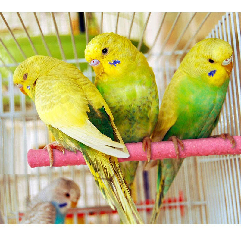 EIKLNN 4 Pieces Budgie Perches for Cage, Cockatiel Perch Stand, Parrot Perches, Bird Grinding Paw Toys, for Budgie Lovebirds Conures Small Birds Cockatiels Parakeets Parrots - PawsPlanet Australia