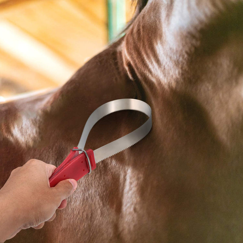 Lixada Equine Sweat Scraper Horse Shedding Grooming Tool Stainless Steel Horse Deshedding Cleaning Loop Tool Comfortable Grip - PawsPlanet Australia