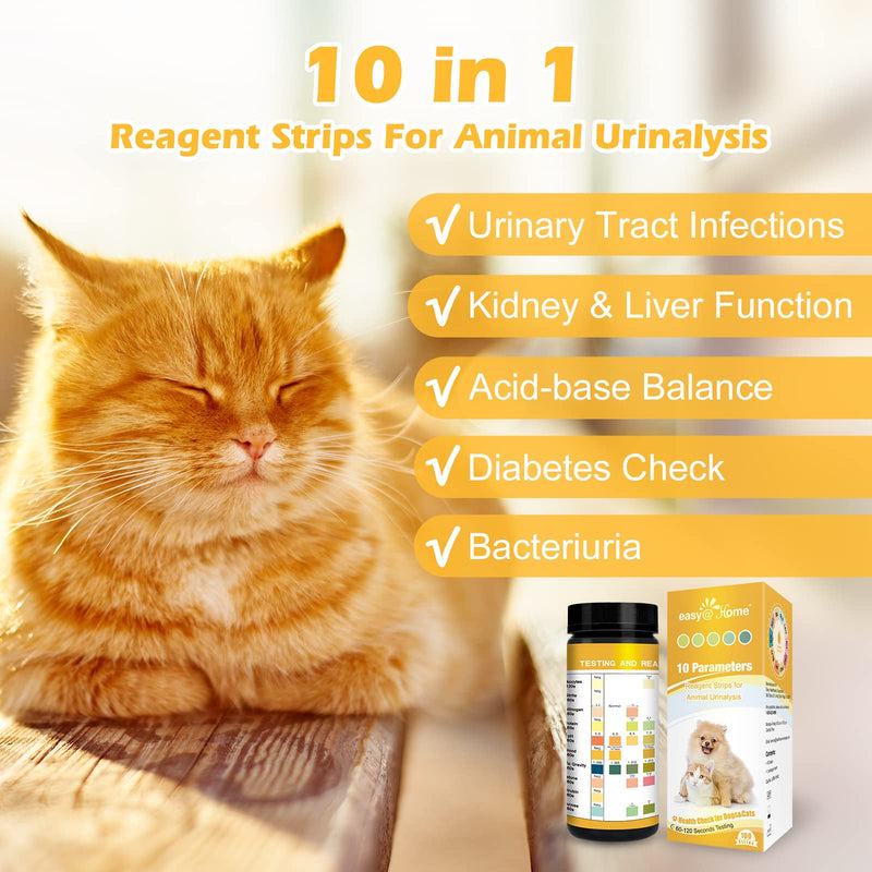 Easy@Home Pet Urine Test: Vet-10 Urine Test Strips for Dogs & Cats 10 Parameters Animal Urinalysis Reagent Strips - Detect Urinary Tract Infection UTI Diabetes Bladder Kidney Liver Function 100 Counts - PawsPlanet Australia