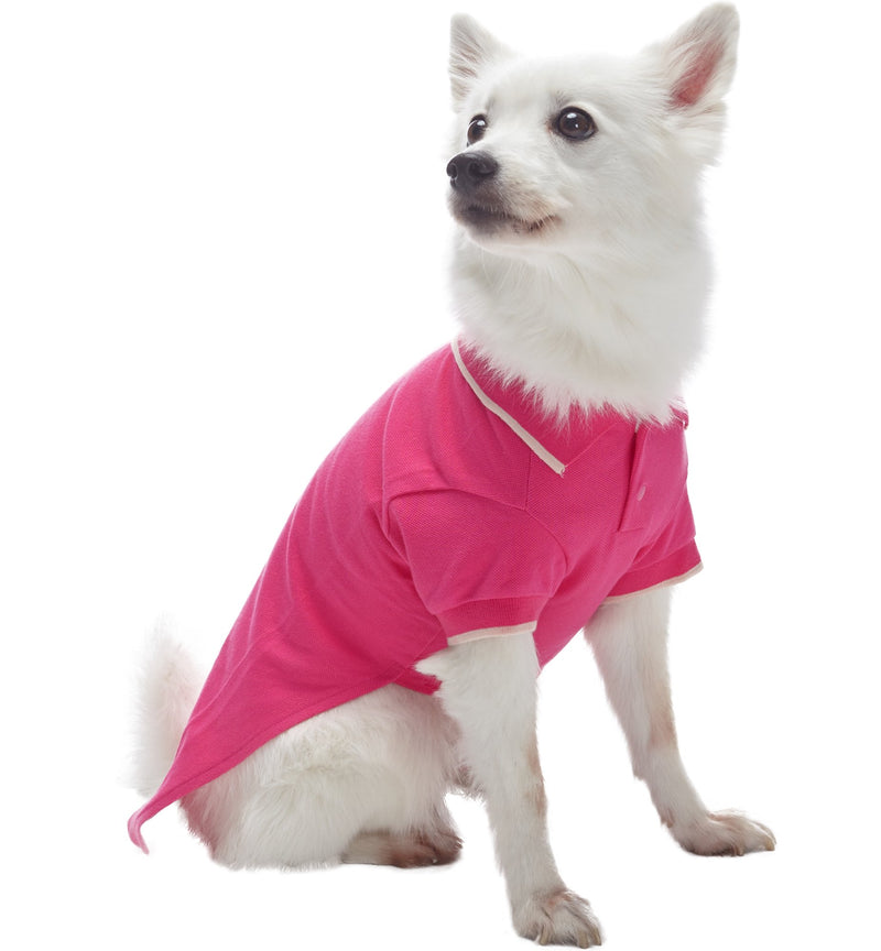 [Australia] - Blueberry Pet 7 Colors Pack of 2 Back to Basic Cotton Blend Dog Polo Shirts with Personalized Option Non-customized - Back Length 16" Pack of 2 - Amaranth Red + Pink 