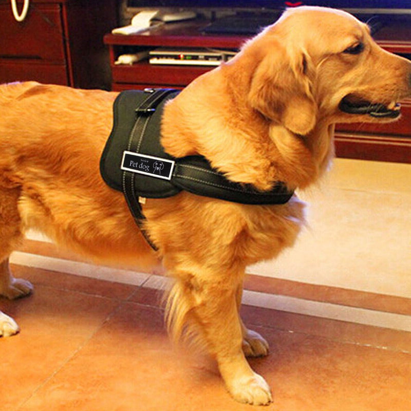 No-Pull Padded Adjustable Dog Training Walking Harness Vest, Black, Large - PawsPlanet Australia