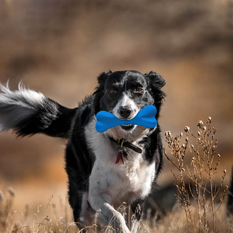 Qesonoo Dog Toys for Aggressive Chewers Dog SuperChewy Tough Dog Bone Toy for Large Medium Dogs Breed Strong Natural Rubber Bones Blue - PawsPlanet Australia
