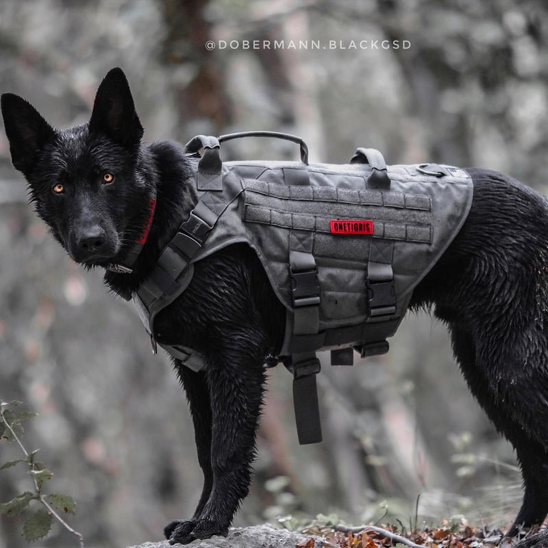 OneTigris Dog Harness, X Destroyer Tactical Harness Dog 3 Handles Heavy Duty Dog Vest with Metal Buckles - Gray S - PawsPlanet Australia