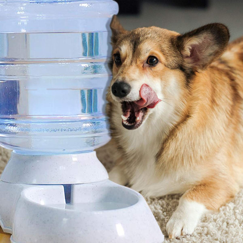 [Australia] - VaygWay Self Dispensing Pet Waterer – Automatic Gravity Dog Cat Waterer - Pet Water Dispenser Dogs Cats – Dog Water Bowl Water Dish – Automatic Water Bowl for Pets 